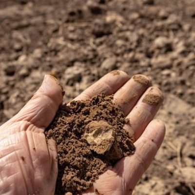 holding-desert-soil-stockcake